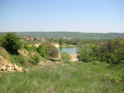 Rgotsko jezero Lake — fotografia 5