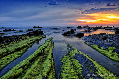 Playa de Barrika - Barrikako hondartza — fotografia 4