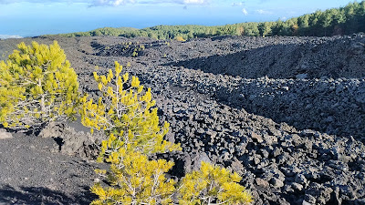 Parco dell'Etna — fotografia 2