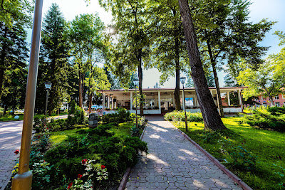 Vața Băi — fotografia 5