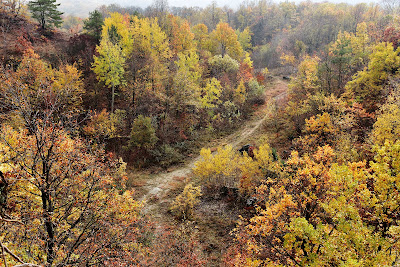 Kövestetői-kilátó — fotografia 5