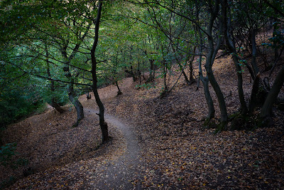 Rezervaţia naturală geologică Râpa Roșie — fotografia 5
