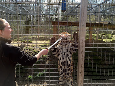 Skærup Zoo — fotografia 3