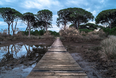 Strofylia National Park — fotografia 5