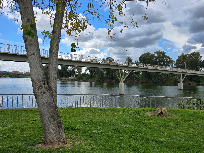 Huevo de Colón — fotografia 3