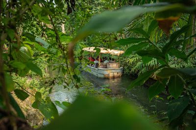 Wildlands
