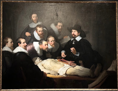Mauritshuis — fotografia 5