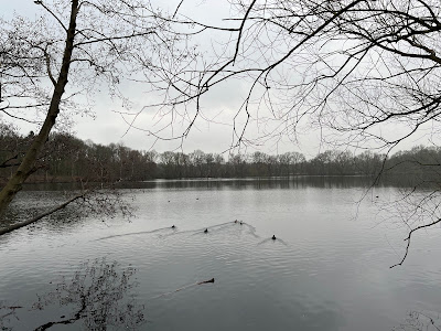 Boberger See — fotografia 3