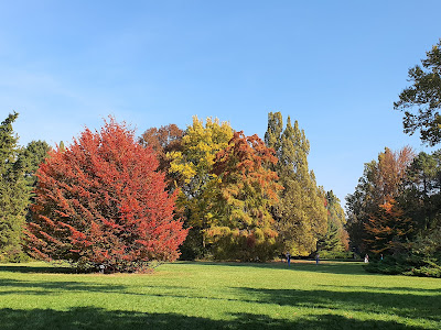 Szarvasi Arborétum — fotografia 3