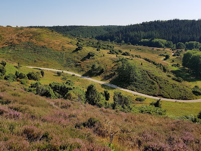 Rebild National Park — fotografia 4