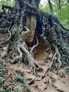 Dera Gorge