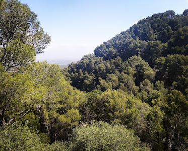 Sendero Fuente Del Acebuche — fotografia 3