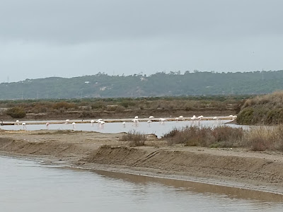 Marismas de Isla Cristina — fotografia 3