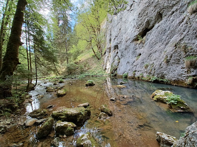 Izbucul Tăuzului — fotografia 4