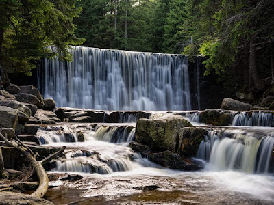 The Wild Waterfall