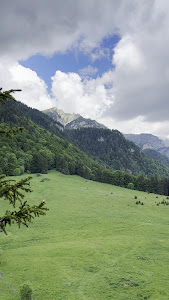 Poiana Stânei Regale — fotografia 4