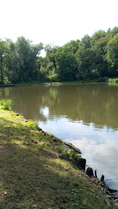 Angelteiche am 'Broicher Weiher' — fotografia 5