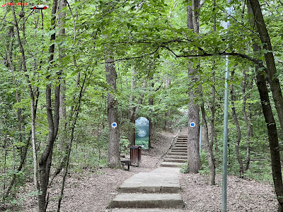 Lacul cu Nuferi "Mihai Eminescu" Ipotești, Botoșani — fotografia 5