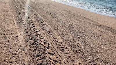 Platja de Calella — fotografia 2