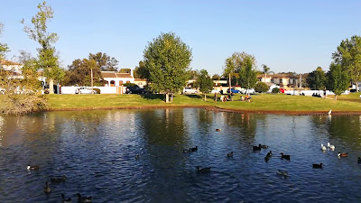 Lago de los patos de Guadacorte — fotografia 2