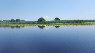 Lacul Potcoava de Sud