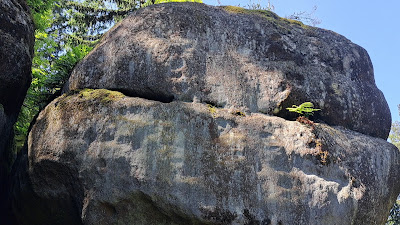 Nature reserve Boulders Dwarfs — fotografia 2