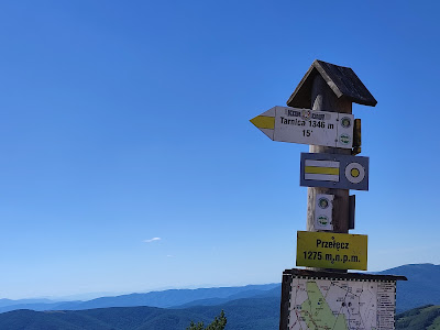 Tarnica — fotografia 4
