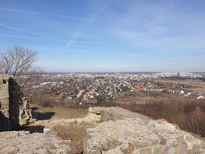 Tarnowski Castle Ruins — fotografia 3