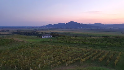 Observation Tower Tokaj — fotografia 3