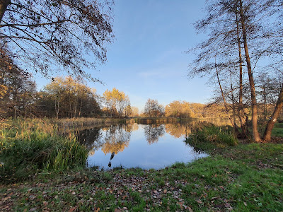 Stawy w Leśnicy — fotografia 3