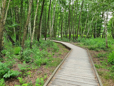 Ścieżka dydaktyczna „Czahary” — fotografia 4