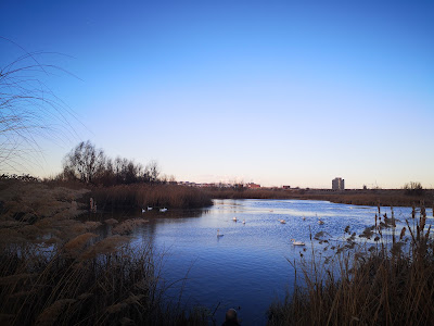 Parcul Natural Văcărești — fotografia 4