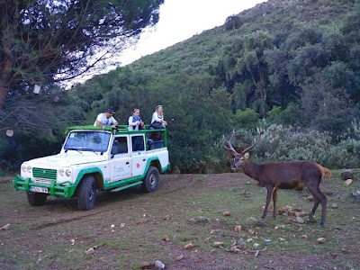 Eco Reserva Ojen — fotografia 4