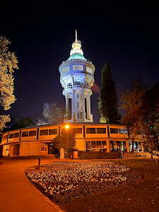 Margaret Island Water Tower — fotografia 3