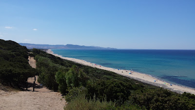 spiaggia Li Junchi di Badesi — fotografia 4