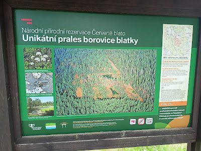 Naučná stezka Červené blato — fotografia 5