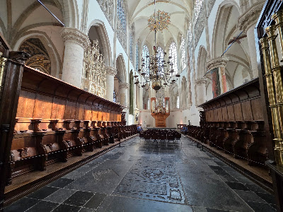 Grote Kerk Breda — fotografia 4