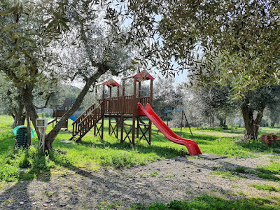 Agricampeggio Paliano — fotografia 4