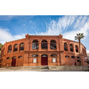 La Malagueta Tour - Museo Taurino de Málaga — fotografia 3