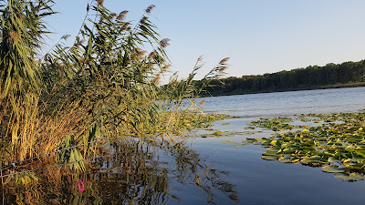 Lacul Snagov — fotografia 5