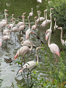 Zoo Zlín — fotografia 5