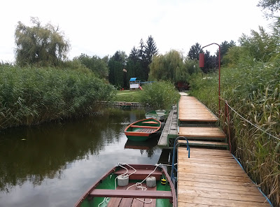 Siofok-Salt Lake Fishing Lake — fotografia 4