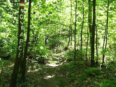 Medvednica Mountain Trail 9 — fotografia 3