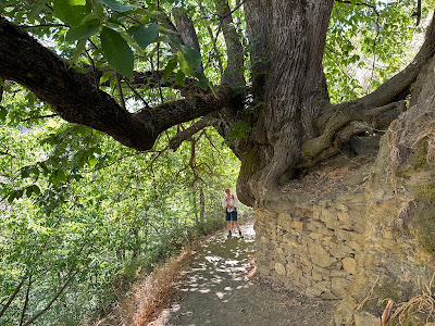 Vereda de la Estrella — fotografia 4