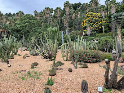 Jardi Botanic Historic — fotografia 5