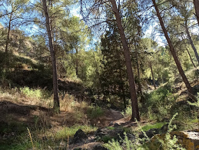 El Valle Murcia — fotografia 5