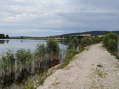 Rašelina