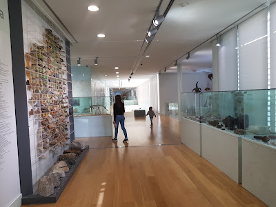 Museo de Historia Natural-USC — fotografia 5