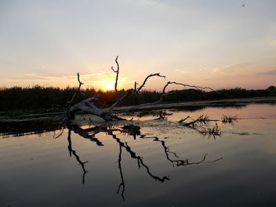 Lacul Babina