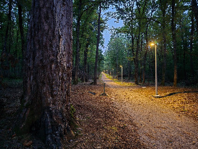 Jasikovac, Park Suma — fotografia 4